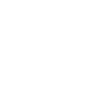 accountant-book